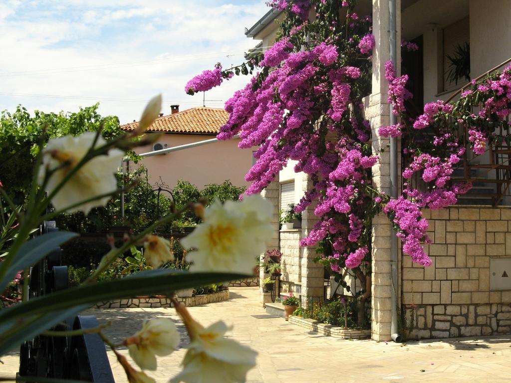 Apartments Villa Rosa Rovinj Buitenkant foto
